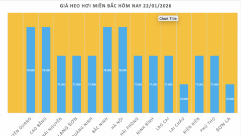 Giá heo hơi hôm nay 22/1/2026: Tiếp đà tăng, miền Bắc lập 'đỉnh' mới