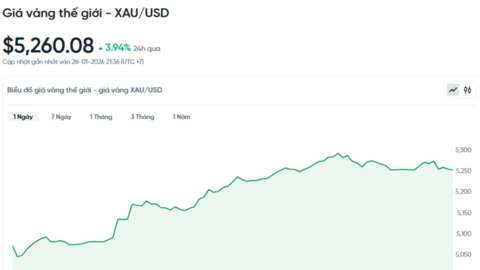 Giá vàng hôm nay 29/01/2026: Tăng cao kỷ lục