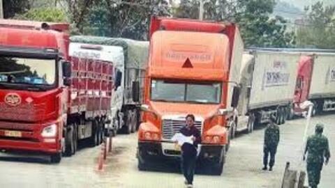 Tạm hoãn Nghị định 46: Quyết sách kịp thời, giảm áp lực cho doanh nghiệp