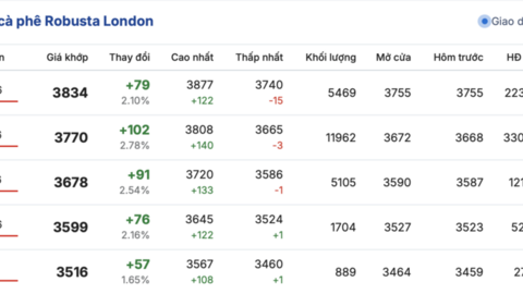 Giá cà phê hôm nay 10/2/2026: Tăng 1.000 đồng/kg