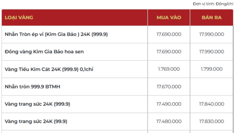 Giá vàng hôm nay 10/02/2026: Tiếp đà tăng giá