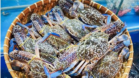 Xuất khẩu ghẹ Việt Nam cần chuyển hướng sang thị trường EU và CPTPP