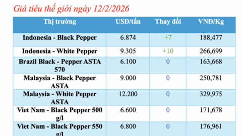 Giá tiêu hôm nay 12/2/2026: Giảm nhẹ tại Đắk Lắk