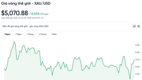 Giá vàng hôm nay 13/02/2026: Đi ngang