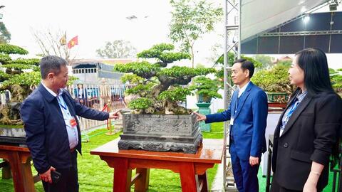 Lễ hội đền thờ Triệu Việt Vương: Đấu giá tác phẩm sinh vật cảnh hàng trăm triệu đồng