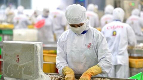 EU số hóa chứng nhận khai thác: Doanh nghiệp thủy sản cần lưu ý gì?