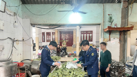 Khởi tố chủ cơ sở sản xuất giò chả vì sử dụng hàn the