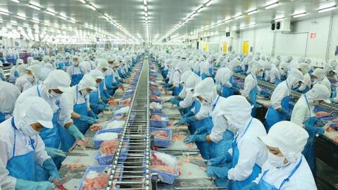 Xuất khẩu cá tra, cá ngừ tăng tốc đầu năm 2026