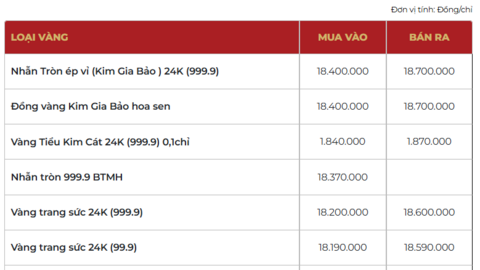 Giá vàng hôm nay ngày 04/03/2026: Đột ngột giảm, điều gì đang xảy ra?