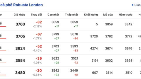 Giá cà phê hôm nay 4/3/2026: Phục hồi nhẹ
