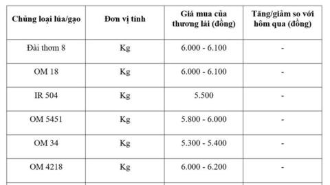 Giá lúa gạo hôm nay ngày 9/3/2026: Gạo Thơm dẻo neo giá cao