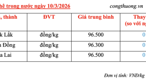 Giá cà phê hôm nay 10/3/2026: Duy trì ổn định
