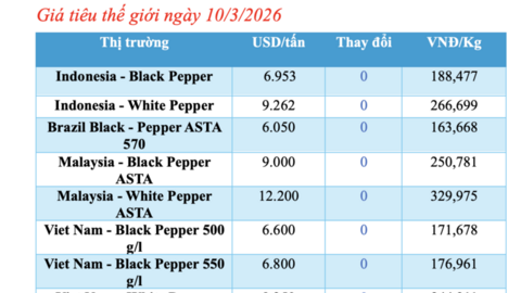 Giá tiêu hôm nay 10/3/2026: Cao nhất 165.000 đồng/kg
