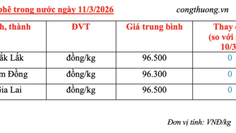 Giá cà phê hôm nay 11/3/2026: Giữ đà bình ổn