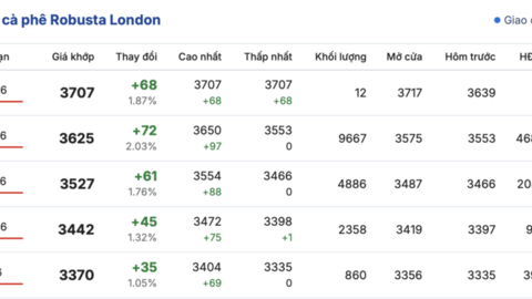 Giá cà phê hôm nay 13/3/2026: Trong nước sụt giảm sâu