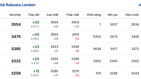 Giá cà phê hôm nay 17/3/2026: Giảm nhẹ 200 đồng/kg