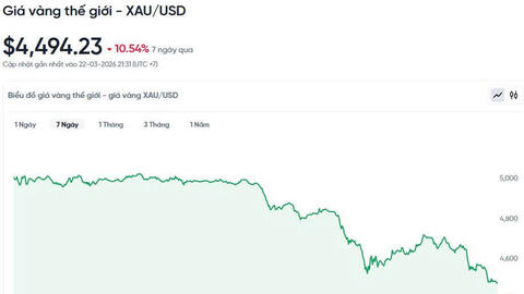 Giá vàng hôm nay (23/3): Kịch bản nào cho tuần mới?