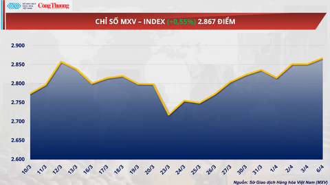 Giá ca cao giảm kỷ lục