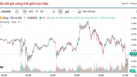 Giá vàng hôm nay (8/4): Vàng miếng SJC, vàng miếng đồng loạt giảm