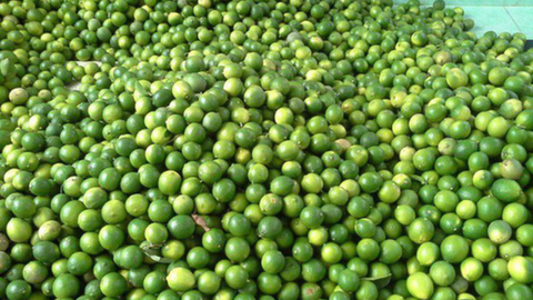 Giá nông sản hôm nay 8/4: Giá chanh tăng mạnh, cà phê thế giới giảm