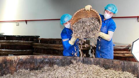 Xây dựng chuỗi thực phẩm sạch, nâng tầm nông sản Việt