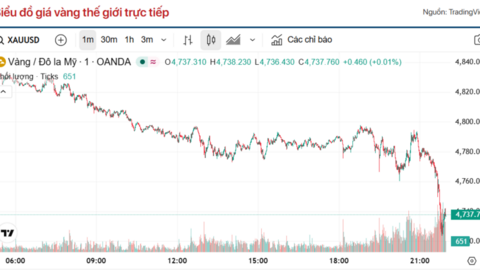 Giá vàng hôm nay (22/4): Mất mốc 4.800 USD