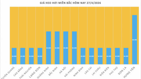Giá heo hơi hôm nay 27/4/2026: Ổn định phiên đầu tuần
