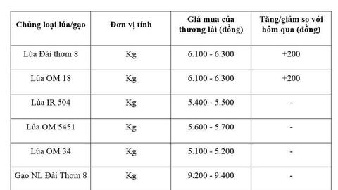 Giá lúa gạo hôm nay ngày 5/5: Lúa tươi đảo chiều tăng
