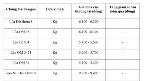 Giá lúa gạo hôm nay ngày 6/5/2026: Gạo xuất khẩu biến động trái chiều