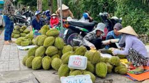 Thành lập Tổ soạn thảo và Tổ biên tập xây dựng Luật Công nghiệp trọng điểm