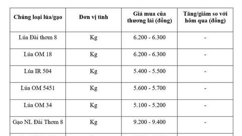 Giá lúa gạo hôm nay ngày 18/5/2026: Gạo xuất khẩu nguyên liệu tăng