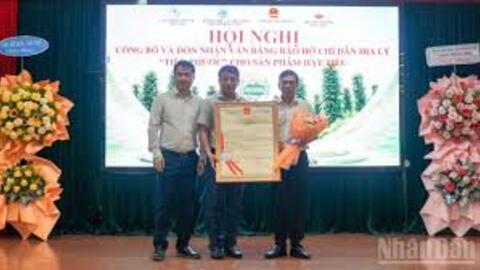  Đà Nẵng đón nhận bảo hộ chỉ dẫn địa lý tiêu 'Tiên Phước'
