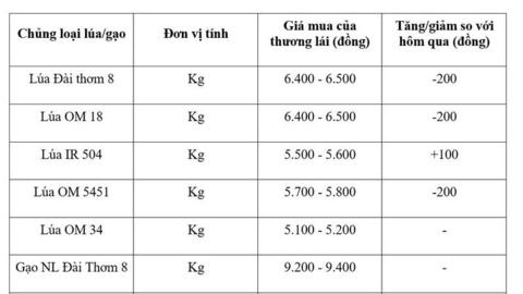 Giá lúa gạo hôm nay ngày 29/5/2026: Lúa tươi biến động trái chiều