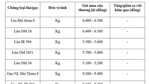 Giá lúa gạo hôm nay ngày 5/6/2026: Gạo xuất khẩu tăng
