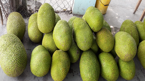 Giá nông sản hôm nay, ngày 12/6: Mít Thái đang ở mức thấp