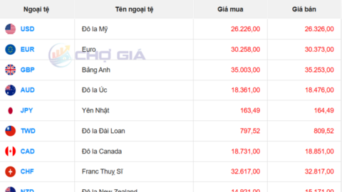 Tỷ giá USD ngày 12/6/2026: USD tăng sức mạnh giữa loạt biến động
