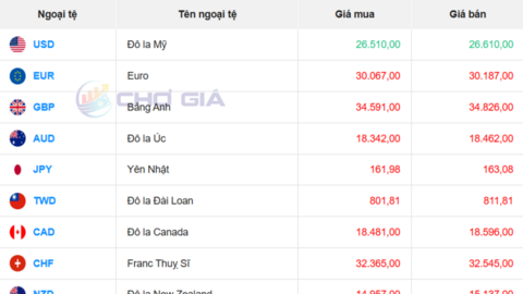 Tỷ giá USD hôm nay 23/6/2026: Vì sao đồng bạc xanh vẫn neo cao?