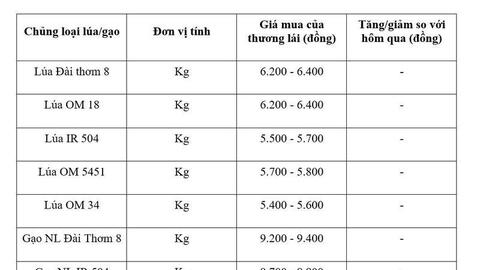 Giá lúa gạo hôm nay ngày 24/6: Gạo thơm Jasmine giảm 1.000 đồng/kg