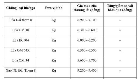 Giá lúa gạo hôm nay ngày 15/7: Gạo thơm Jasmine giảm 1.000 đồng/kg