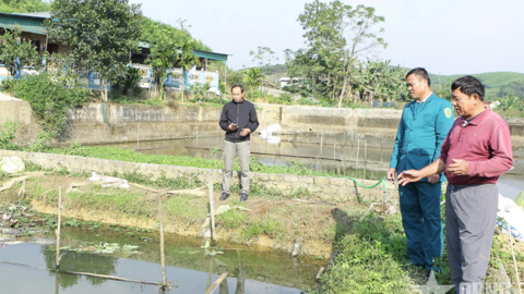 Biến đất hoang thành mô hình kinh tế hiệu quả