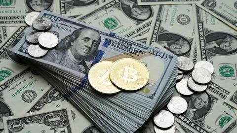 Tỷ giá USD hôm nay (28-8): Đồng USD biến động nhẹ