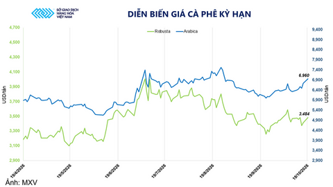 Giá cà phê tăng mạnh phiên thứ hai liên tiếp, đạt mốc 6.960 USD/tấn
