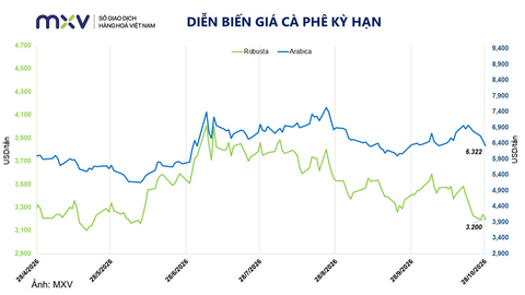 Giá cà phê giảm phiên thứ 5 liên tiếp, Robusta về mức thấp nhất một năm