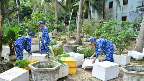 Vùng Cảnh sát biển 4 tích cực phòng, chống sốt xuất huyết trên địa bàn đặc khu Phú Quốc