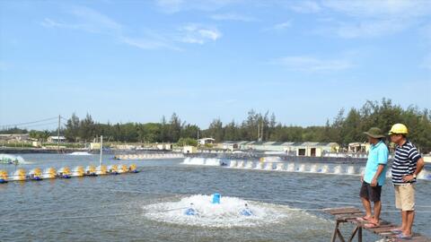 Bố trí gần 32,3 tỷ đồng hỗ trợ sản phẩm xử lý môi trường