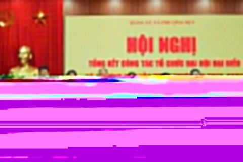 46 đảng viên xã Phượng Dực vinh dự đón nhận Huy hiệu Đảng đợt 2-9