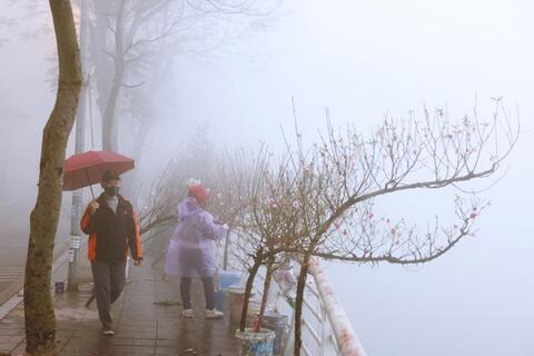 <a href="/doi-song" title="Đời sống" rel="dofollow">Đời sống</a>