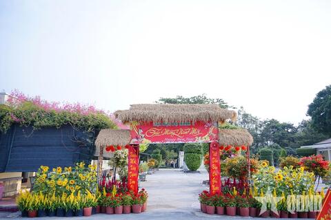 Quân đoàn 34: Cán bộ, chiến sĩ Đoàn Bình Giã trang hoàng đón Tết Nguyên đán