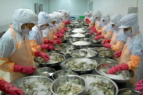 Xuất khẩu thủy sản Việt Nam kỳ vọng khởi sắc trong tháng 3