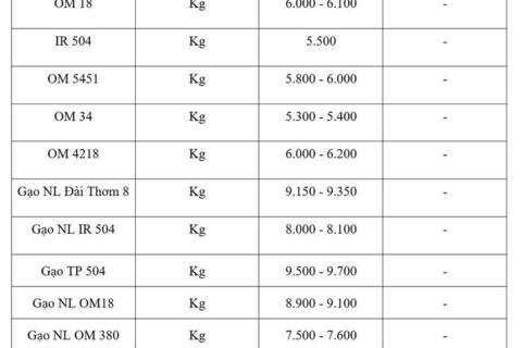 Giá lúa gạo hôm nay ngày 13/3/2026: Tấm thơm tăng nhẹ